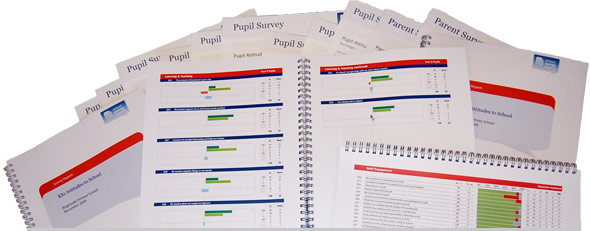 School Surveys